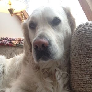 Meet your Posher, Timothy